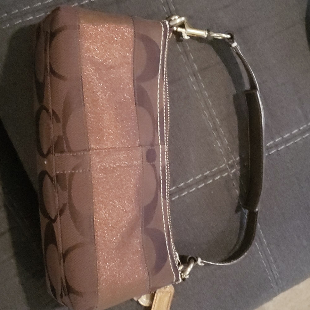 Coach Small Hobo Bag